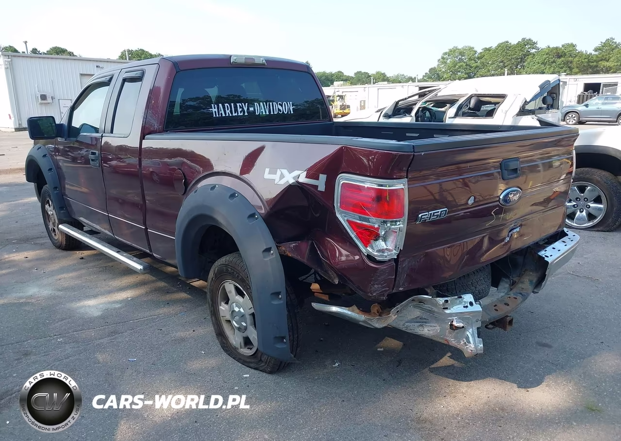 2010 Ford F-150 Stx-Xl-Xlt VIN:1FTEX1E84AFA90418 - 3
