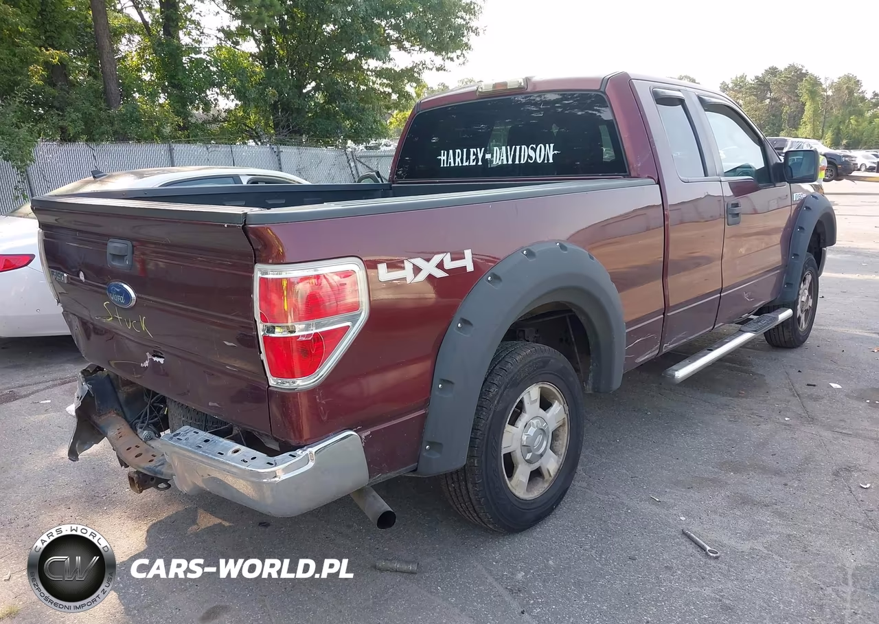 2010 Ford F-150 Stx-Xl-Xlt VIN:1FTEX1E84AFA90418 - 4