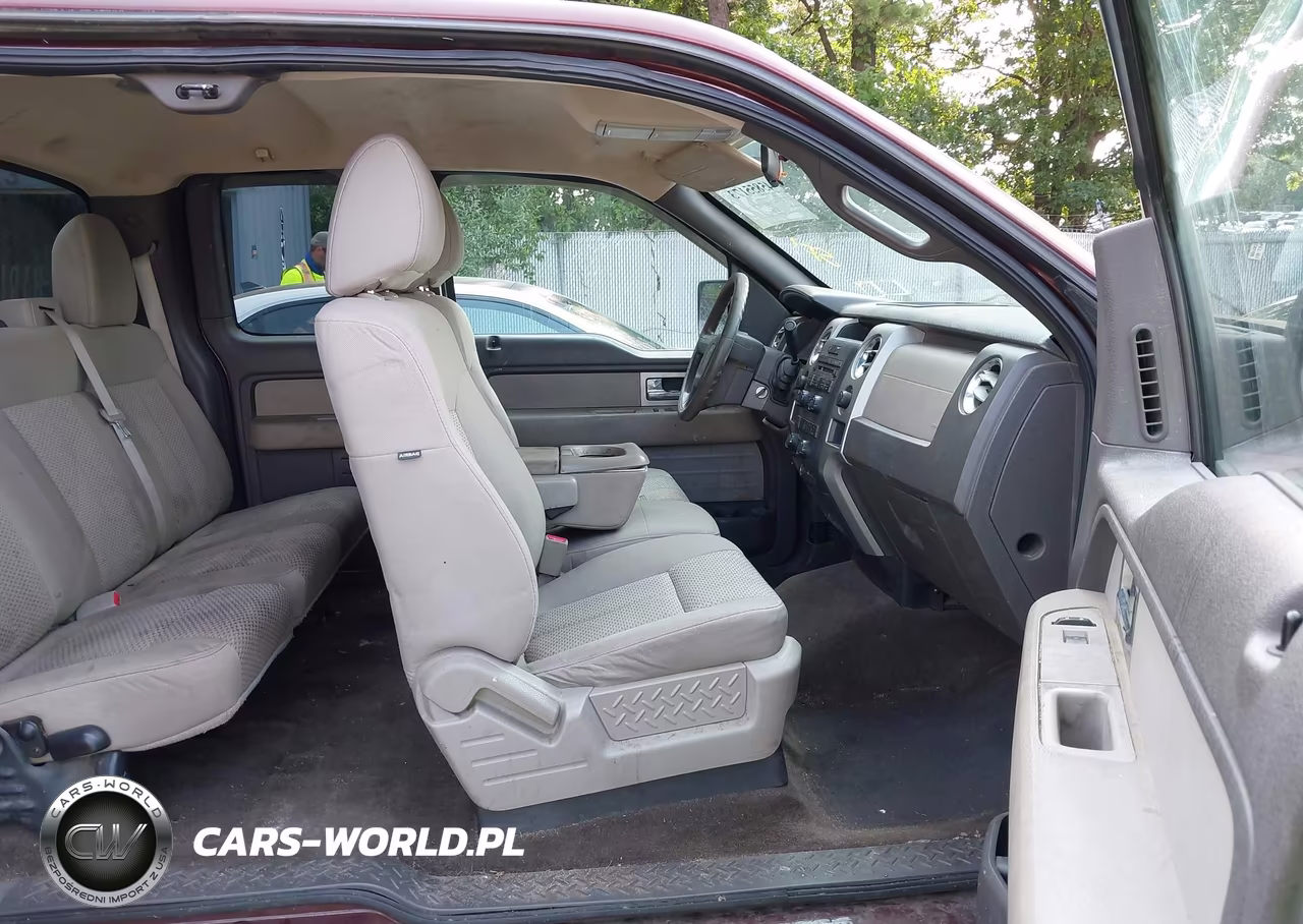 2010 Ford F-150 Stx-Xl-Xlt VIN:1FTEX1E84AFA90418 - 5
