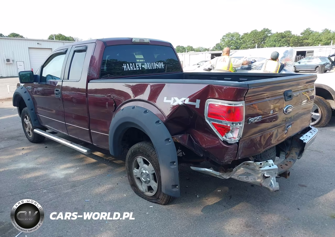 2010 Ford F-150 Stx-Xl-Xlt VIN:1FTEX1E84AFA90418 - 6