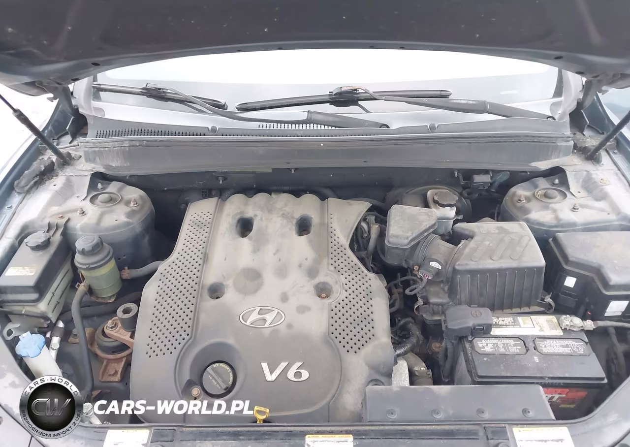 2007 Hyundai Santa Fe Gls VIN:5NMSG13D57H109346 - 10