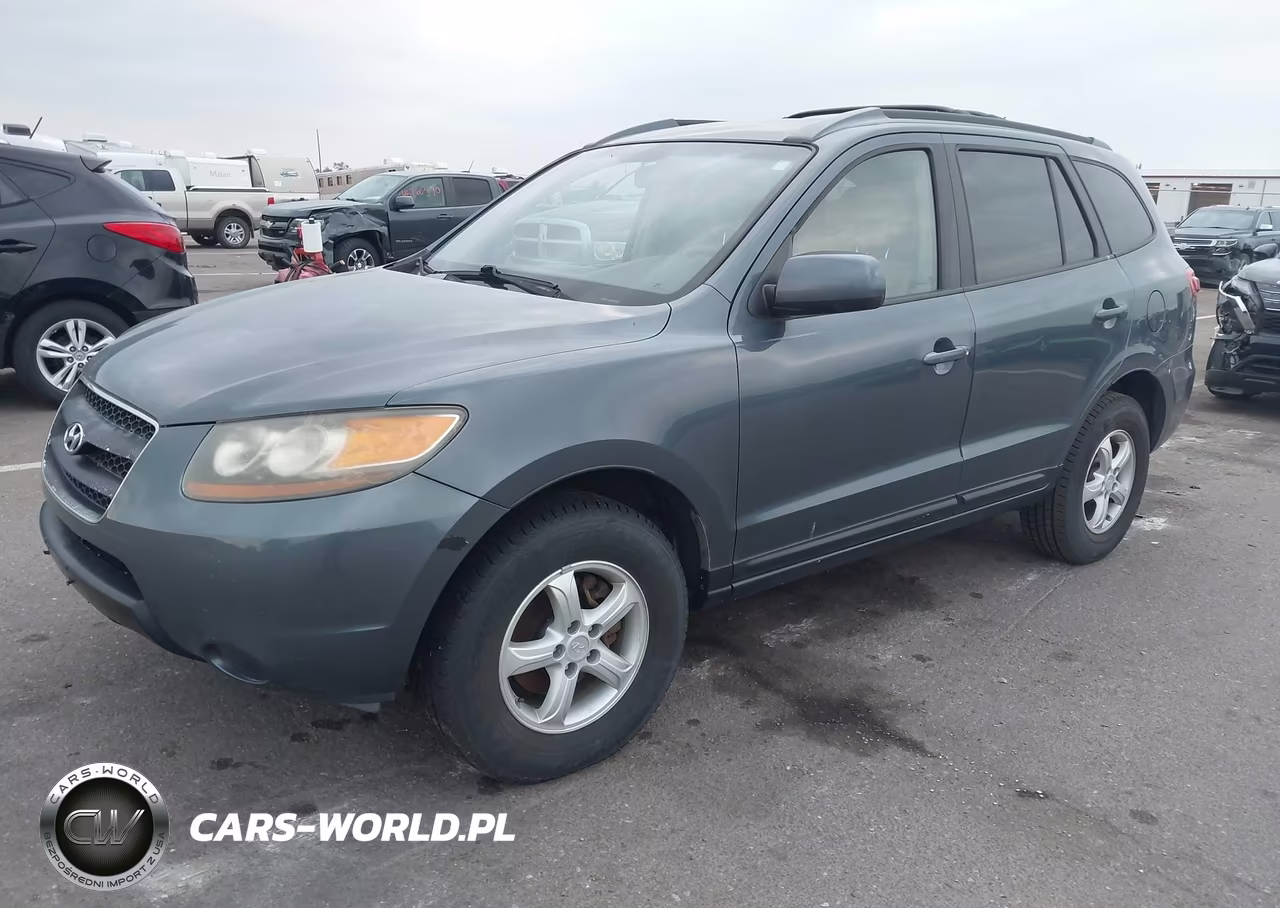 2007 Hyundai Santa Fe Gls VIN:5NMSG13D57H109346 - 2