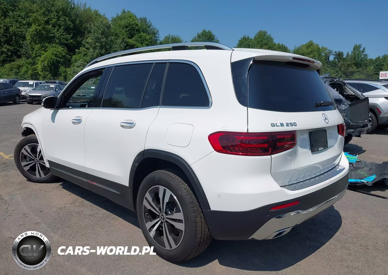 2025 Mercedes-Benz Glb 250 4Matic VIN:W1N4M4HB6SW403024 - 3