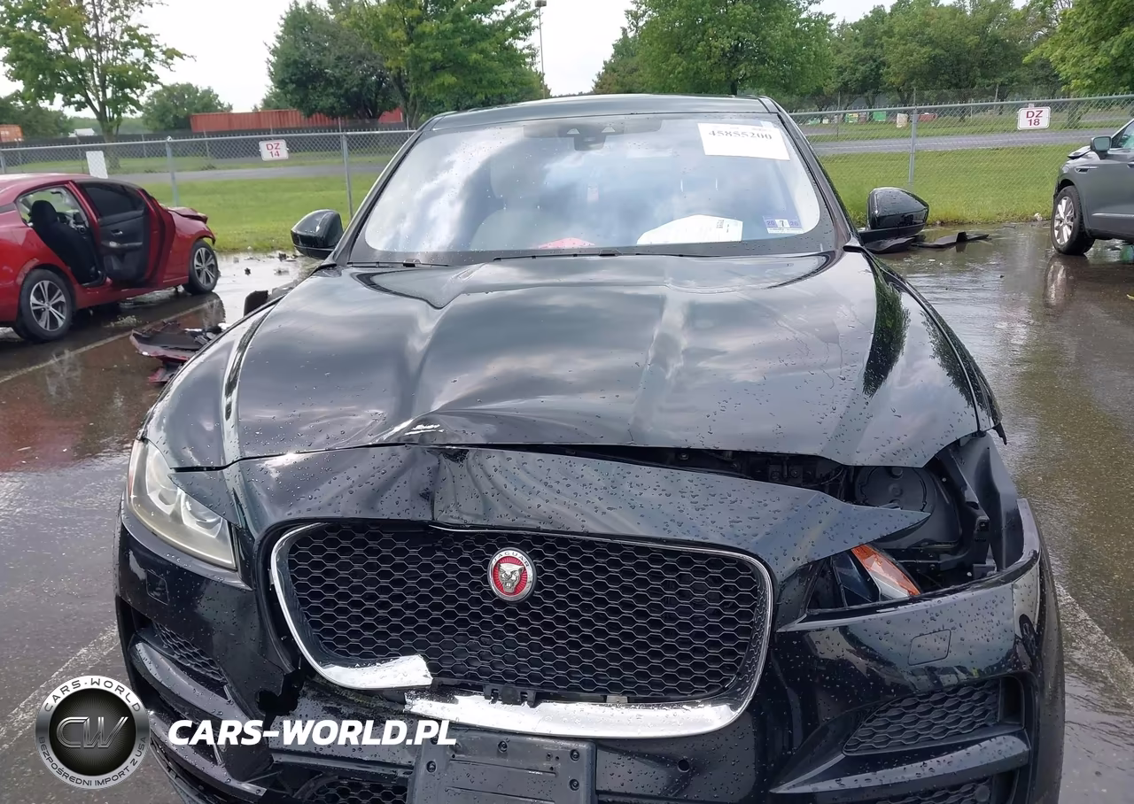 2019 Jaguar F-Pace 25T Prestige-30T Prestige VIN:SADCK2GXXKA391519 - 12