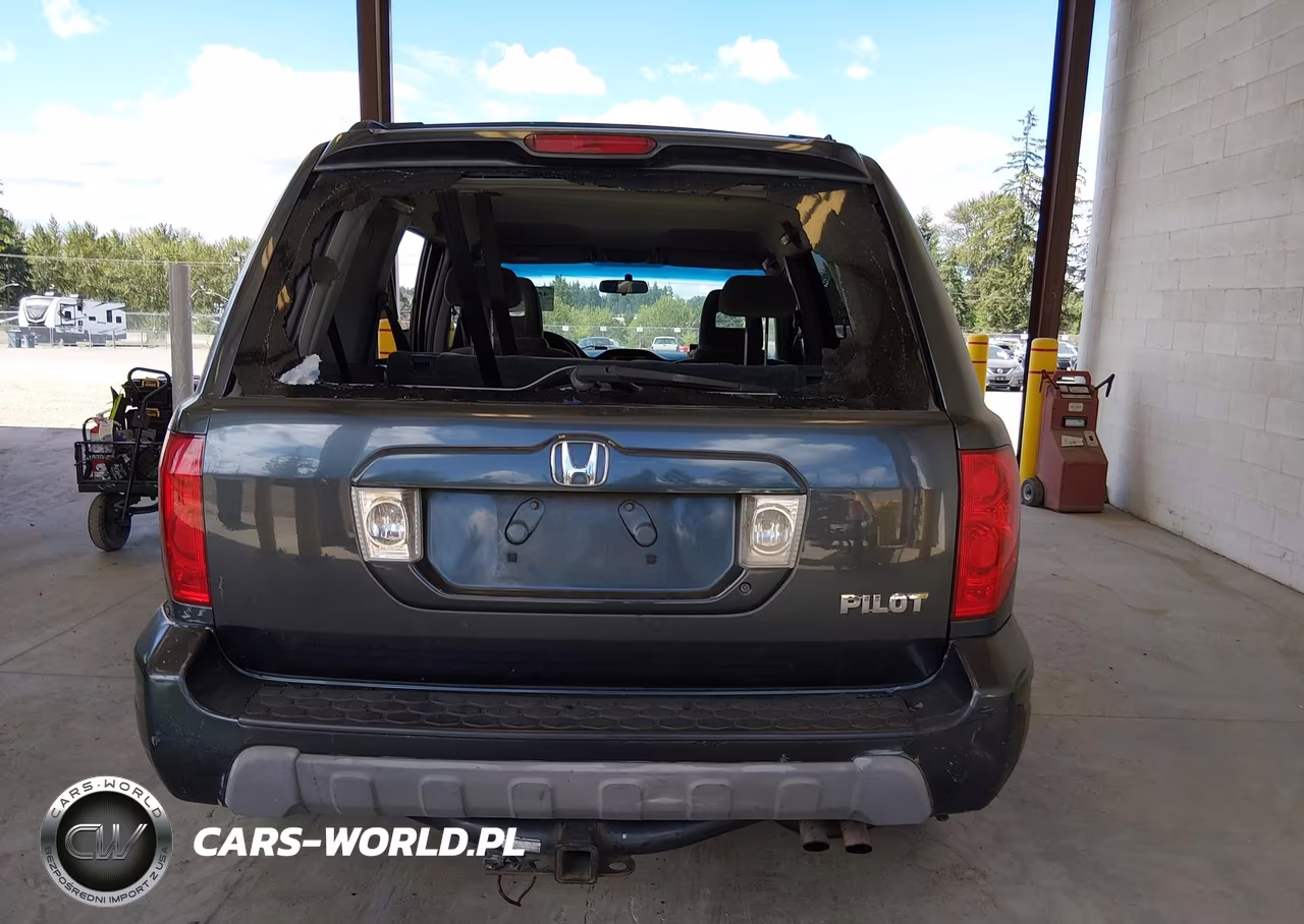 2005 Honda Pilot Ex VIN:5FNYF18485B029771 - 16