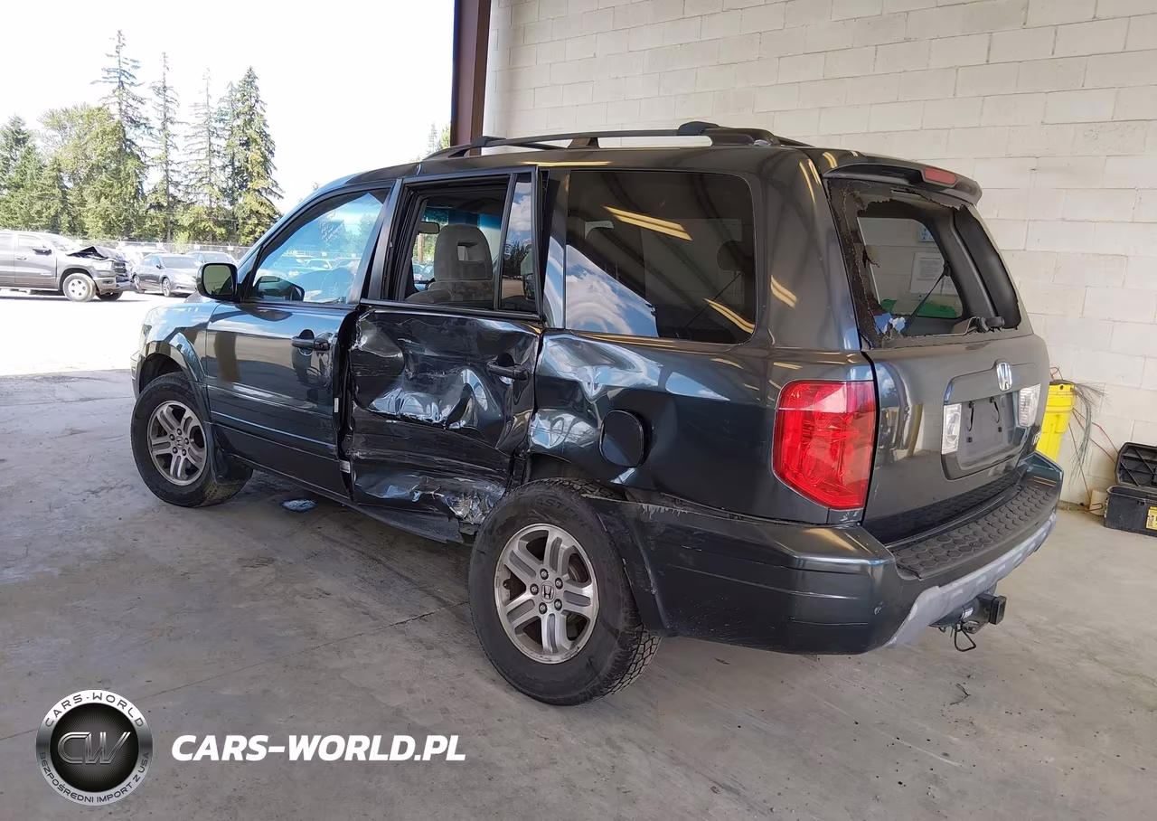 2005 Honda Pilot Ex VIN:5FNYF18485B029771 - 3
