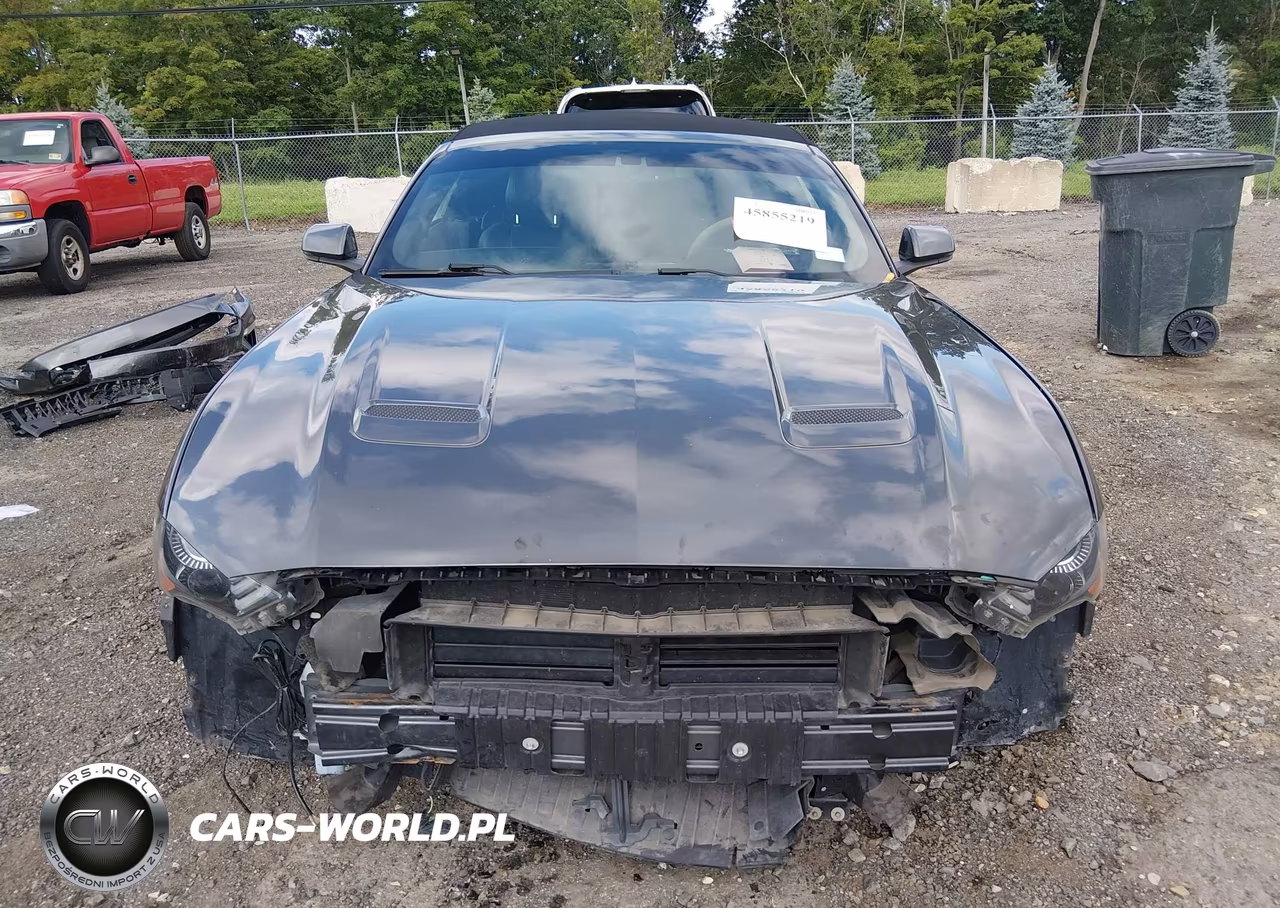 2019 Ford Mustang Gt Premium VIN:1FATP8FF9K5175930 - 13