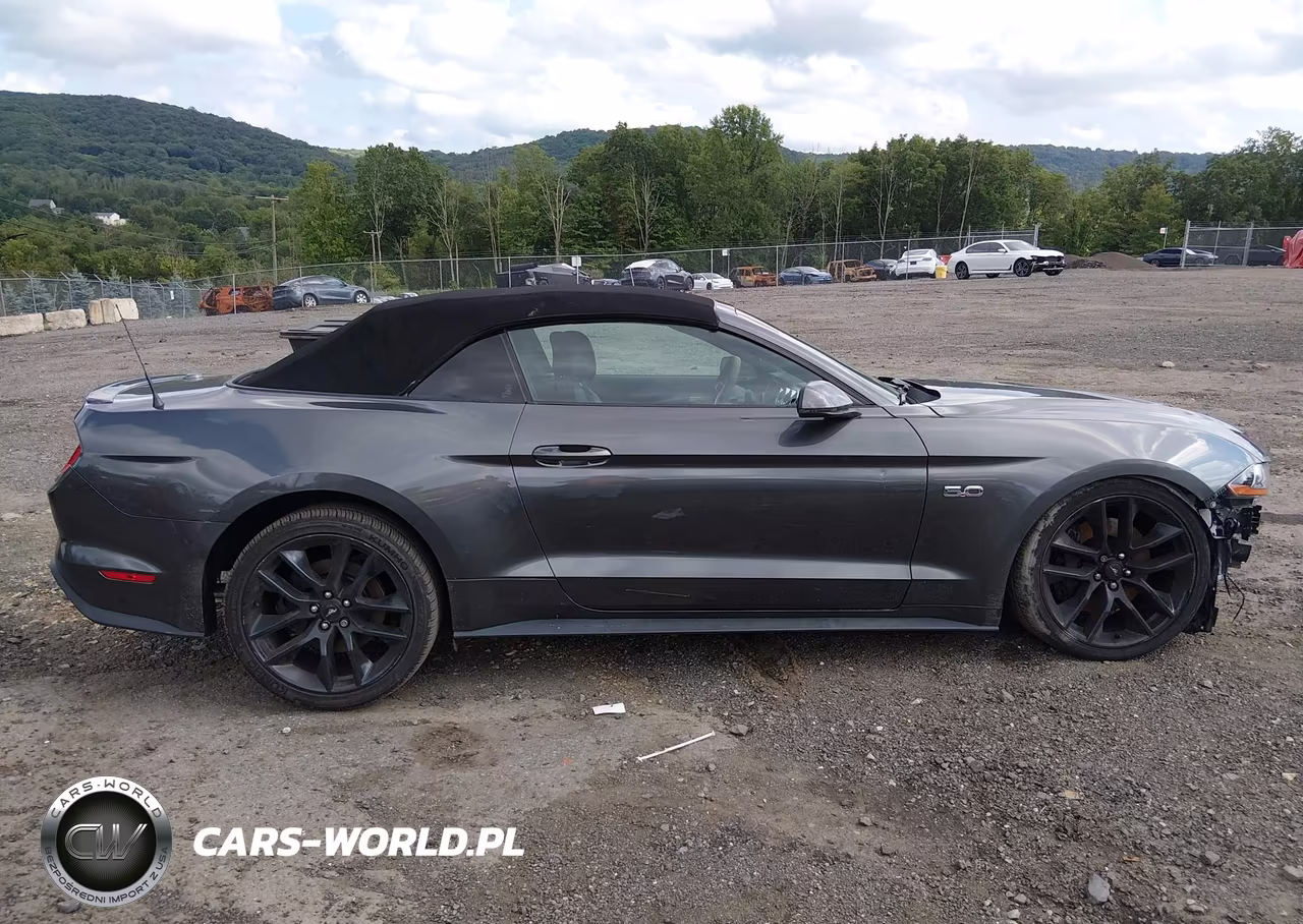 2019 Ford Mustang Gt Premium VIN:1FATP8FF9K5175930 - 14