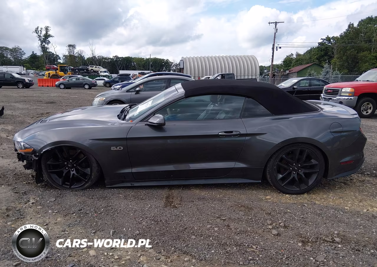 2019 Ford Mustang Gt Premium VIN:1FATP8FF9K5175930 - 15