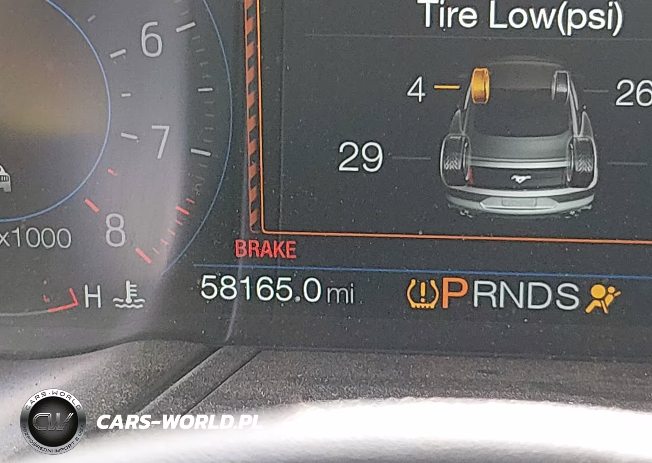 2019 Ford Mustang Gt Premium VIN:1FATP8FF9K5175930 - 16