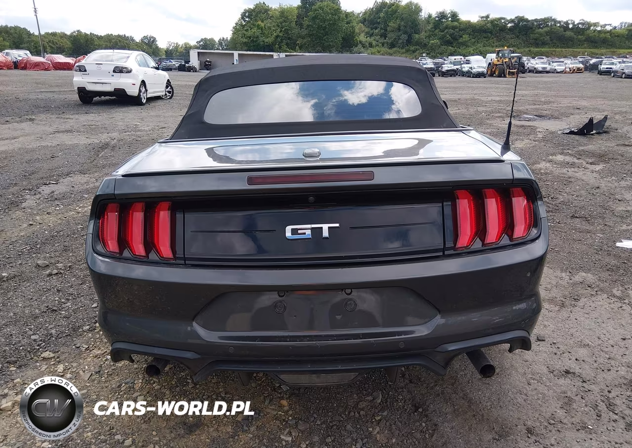 2019 Ford Mustang Gt Premium VIN:1FATP8FF9K5175930 - 17