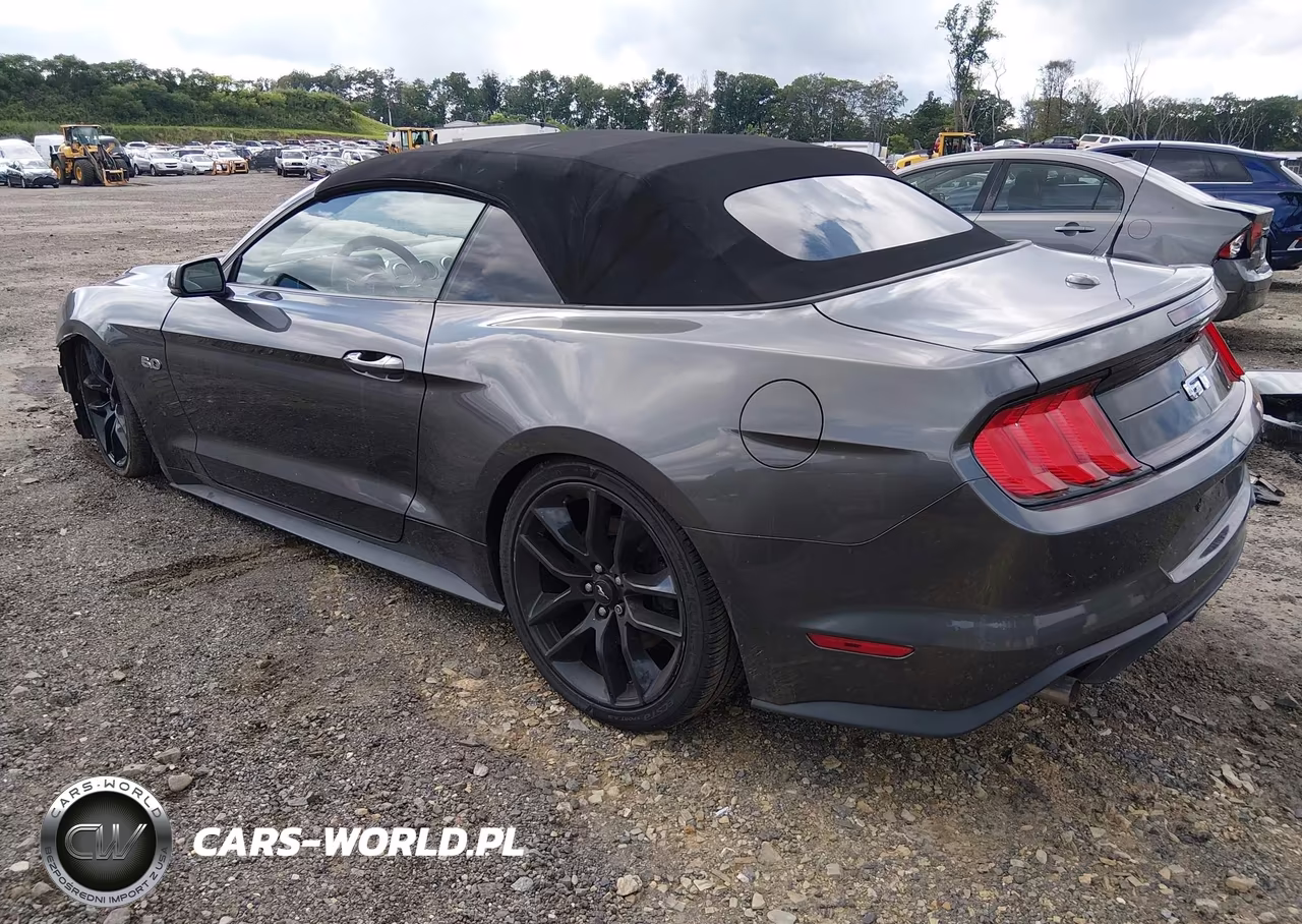 2019 Ford Mustang Gt Premium VIN:1FATP8FF9K5175930 - 3