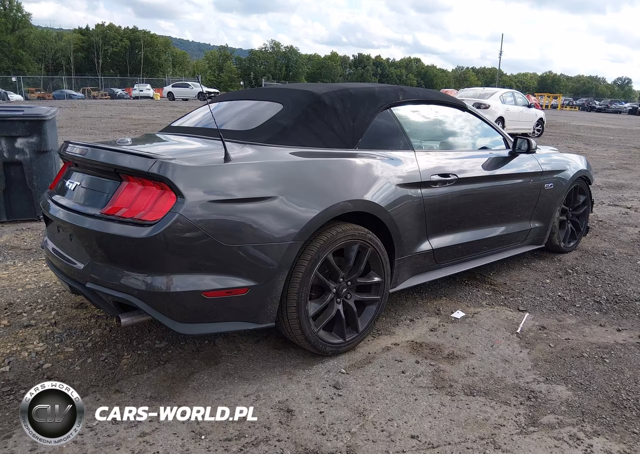 2019 Ford Mustang Gt Premium VIN:1FATP8FF9K5175930 - 4