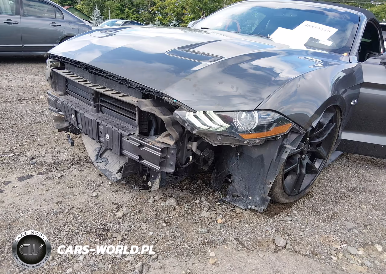 2019 Ford Mustang Gt Premium VIN:1FATP8FF9K5175930 - 6