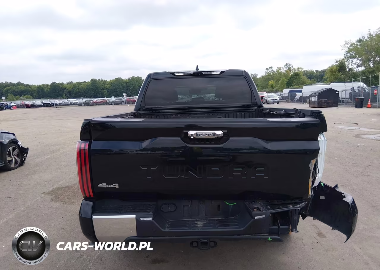 2023 Toyota Tundra 1794 Edition VIN:5TFMA5DB0PX119417 - 16