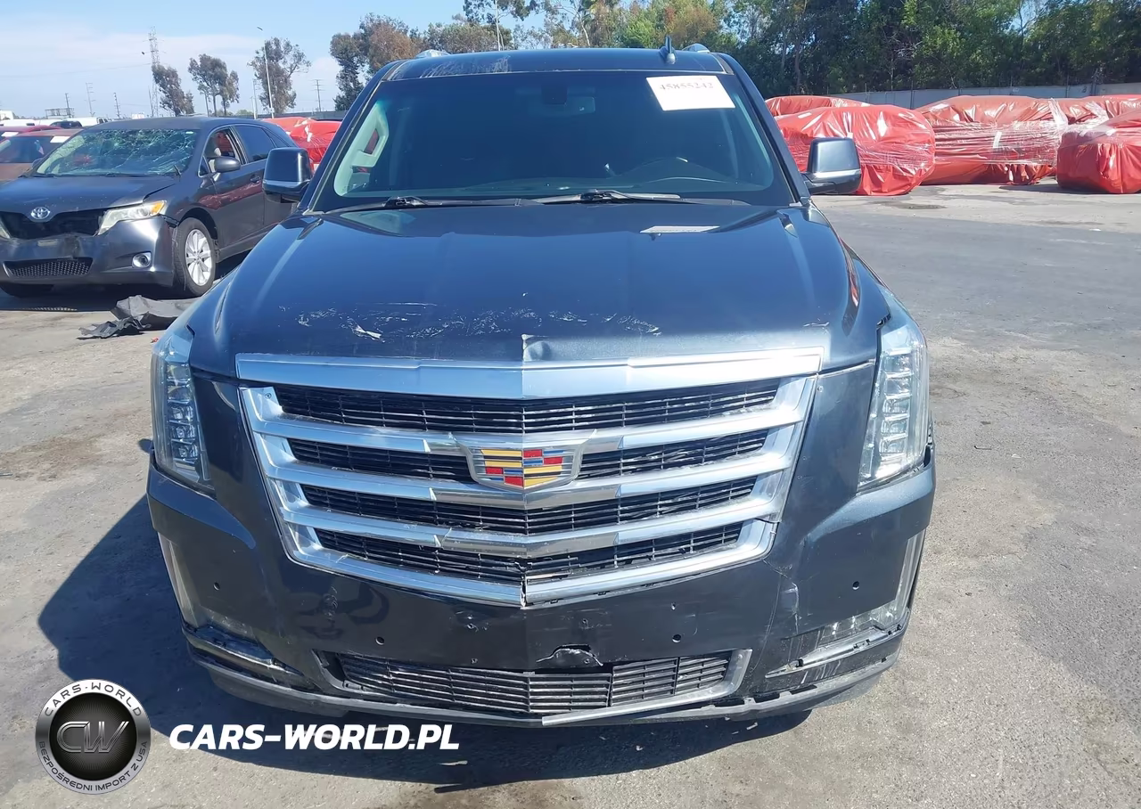 2020 Cadillac Escalade Esv 2Wd VIN:1GYS3GKJ7LR166606 - 12