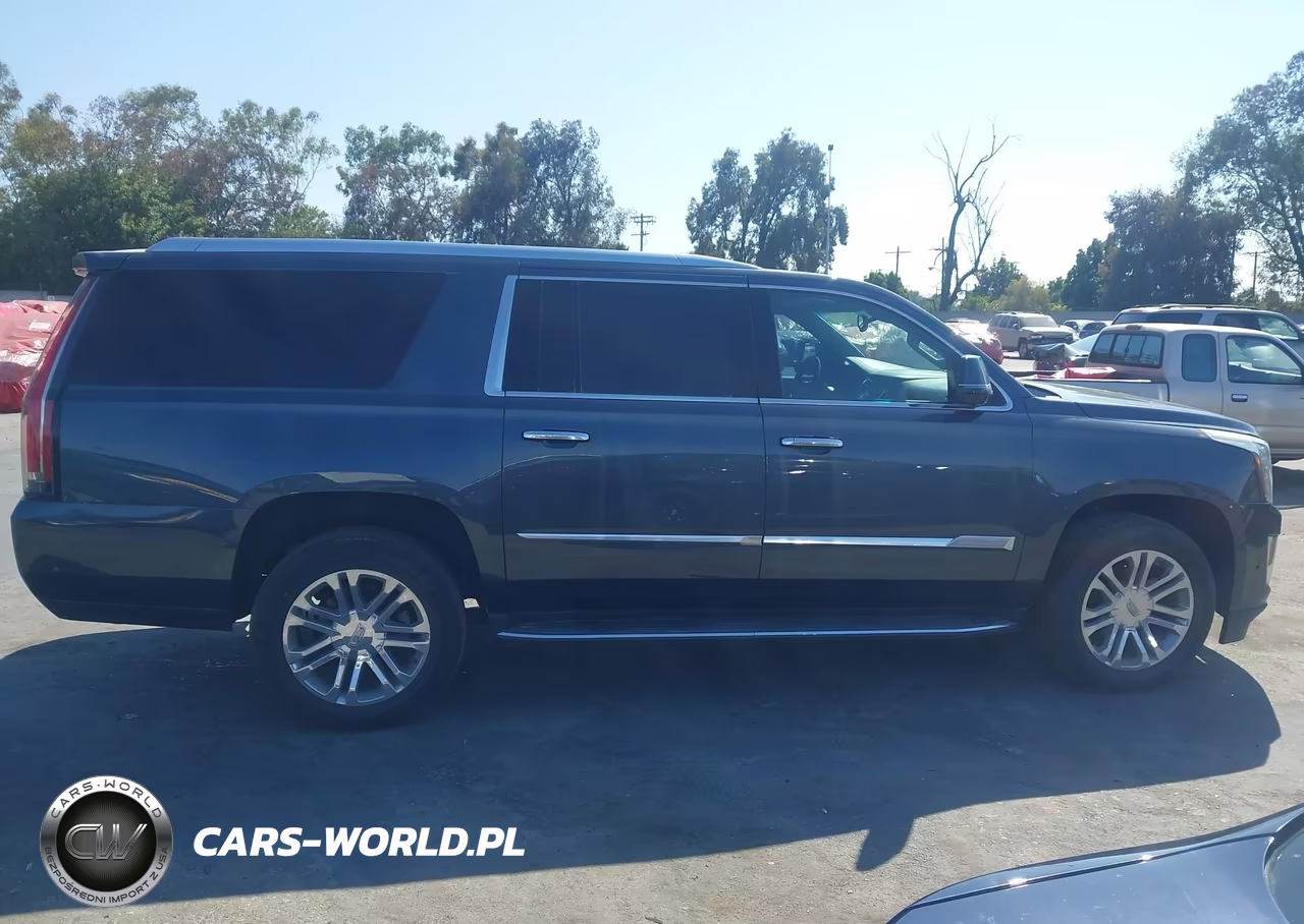2020 Cadillac Escalade Esv 2Wd VIN:1GYS3GKJ7LR166606 - 13