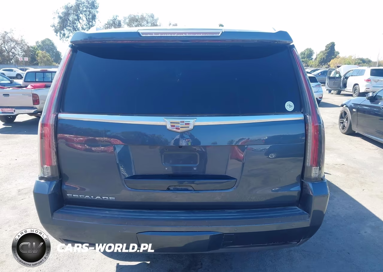 2020 Cadillac Escalade Esv 2Wd VIN:1GYS3GKJ7LR166606 - 16