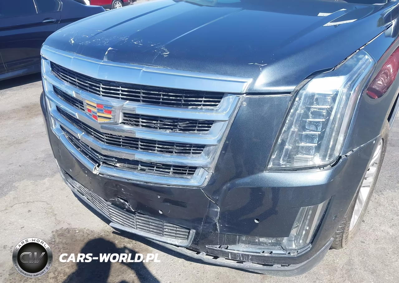 2020 Cadillac Escalade Esv 2Wd VIN:1GYS3GKJ7LR166606 - 17