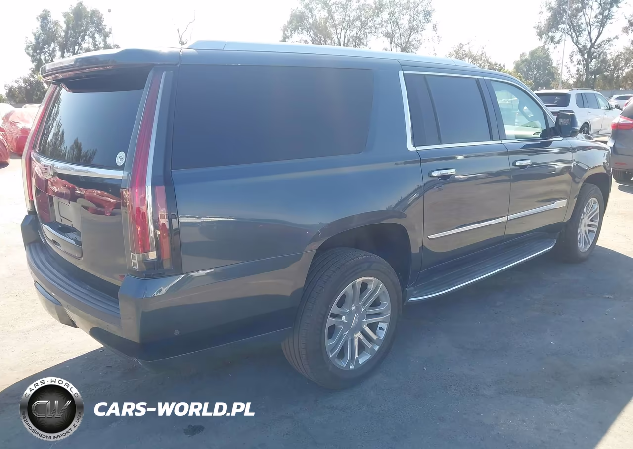 2020 Cadillac Escalade Esv 2Wd VIN:1GYS3GKJ7LR166606 - 4