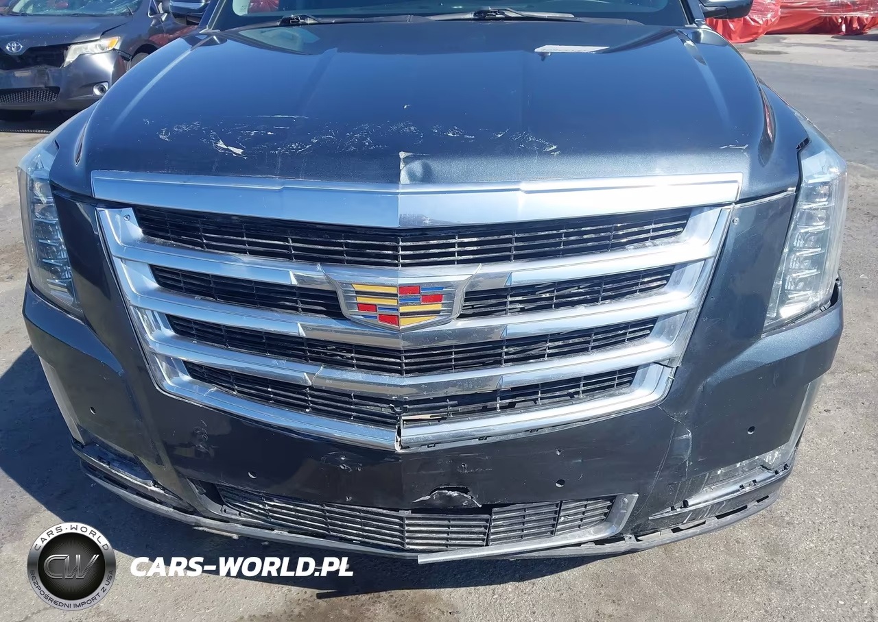2020 Cadillac Escalade Esv 2Wd VIN:1GYS3GKJ7LR166606 - 6
