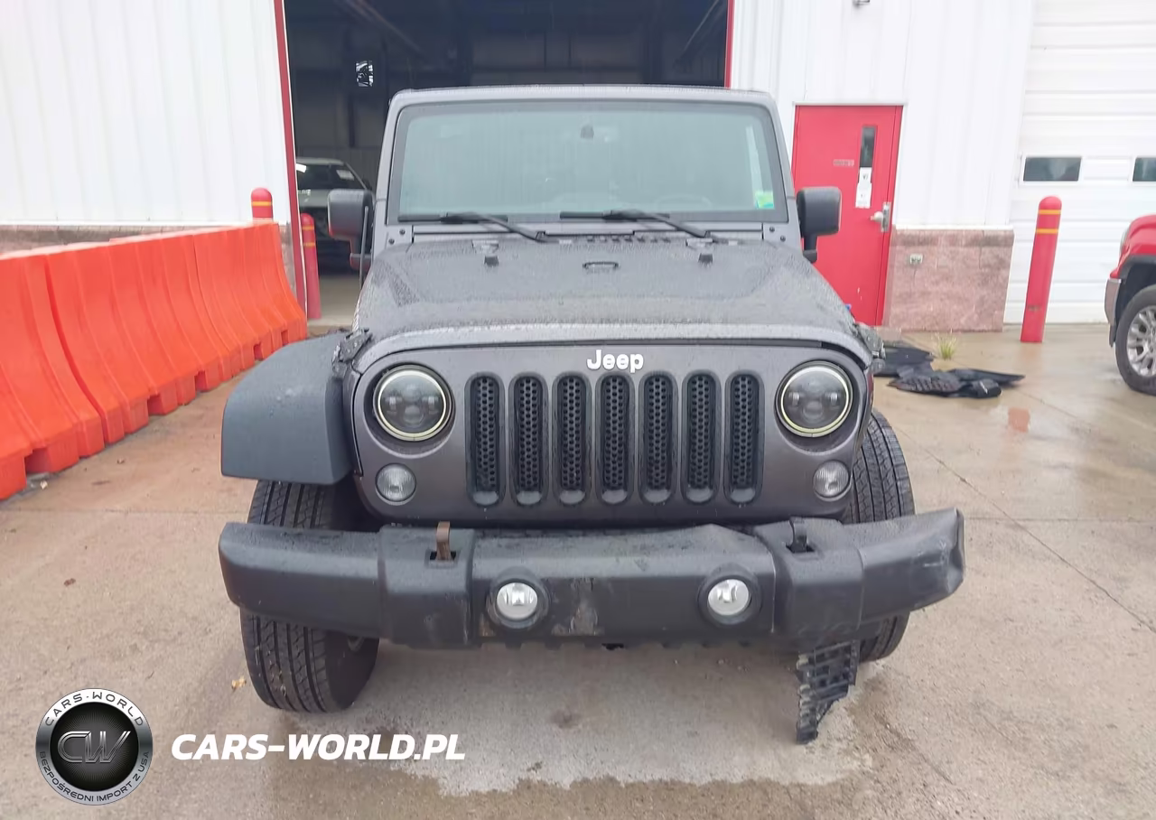 2016 Jeep Wrangler Unlimited Rubicon VIN:1C4BJWFG8GL295516 - 13
