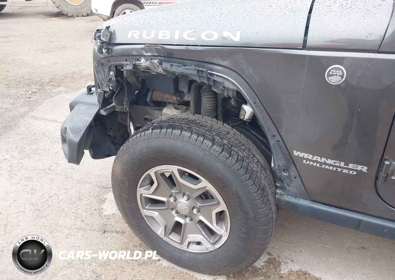 2016 Jeep Wrangler Unlimited Rubicon VIN:1C4BJWFG8GL295516 - 6