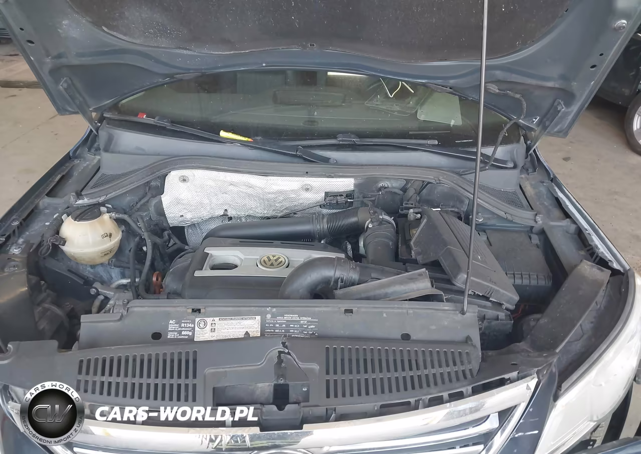 2011 Volkswagen Tiguan Se VIN:WVGAV7AX8BW528651 - 10