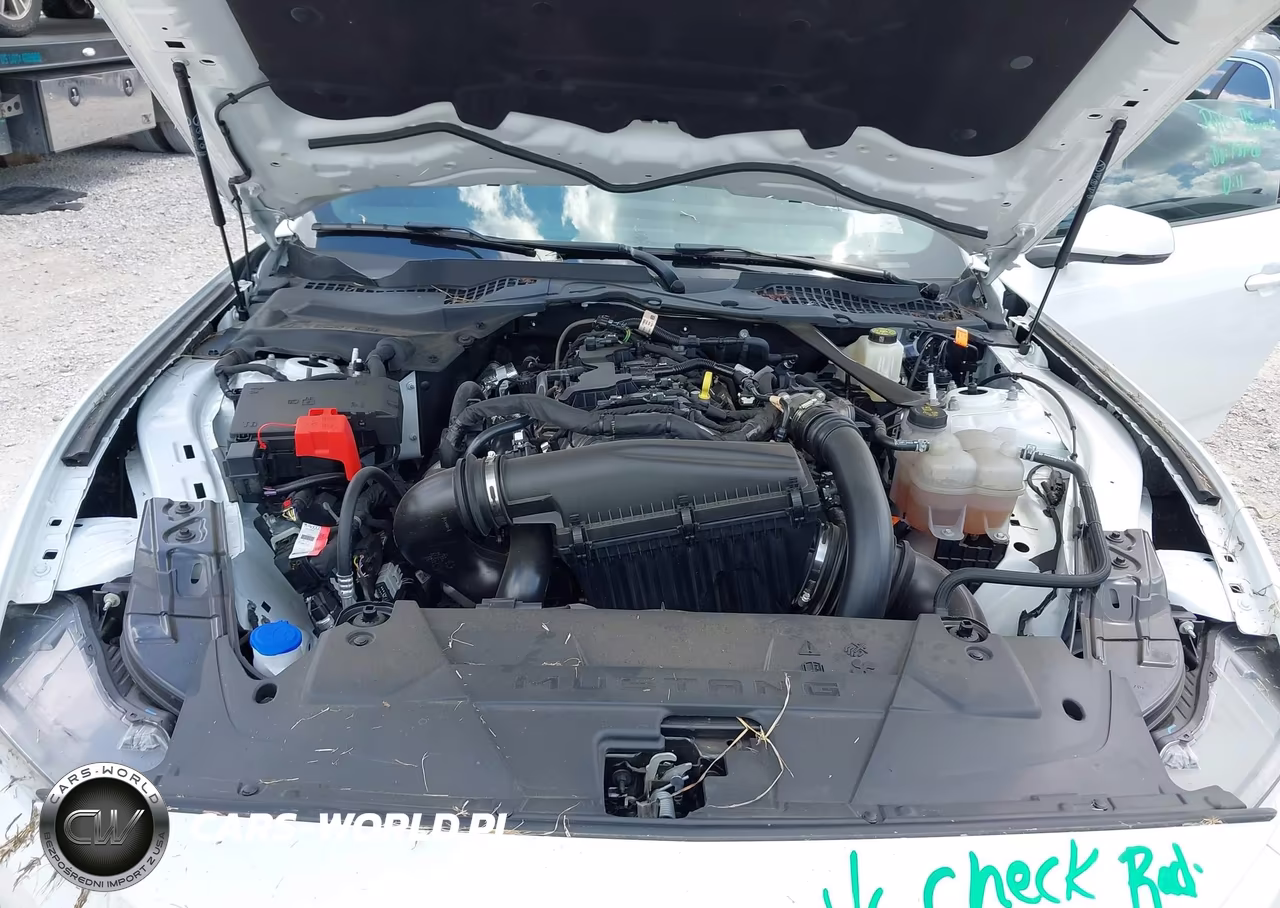 2024 Ford Mustang Ecoboost Premium Fastback VIN:1FA6P8TH1R5138173 - 10