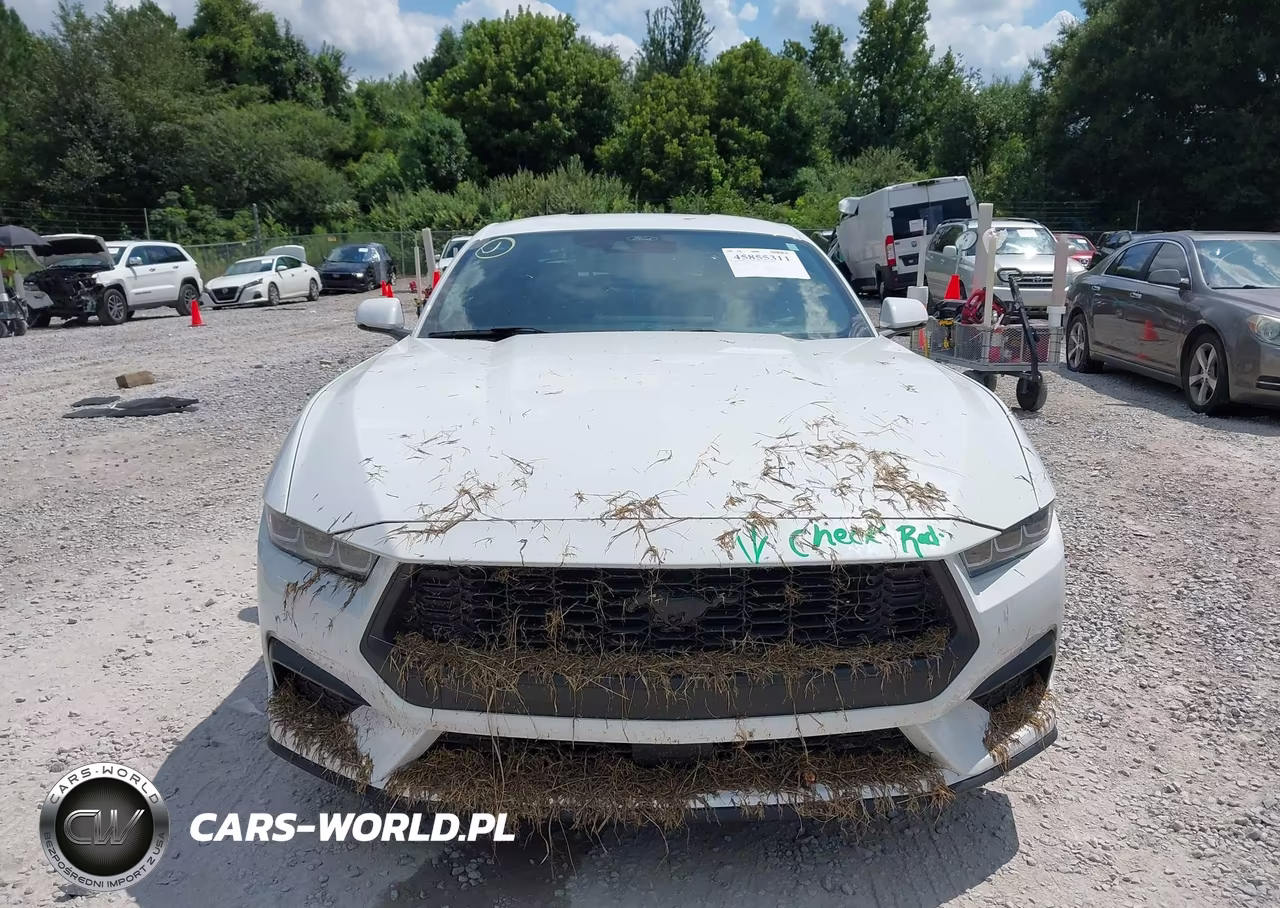 2024 Ford Mustang Ecoboost Premium Fastback VIN:1FA6P8TH1R5138173 - 12
