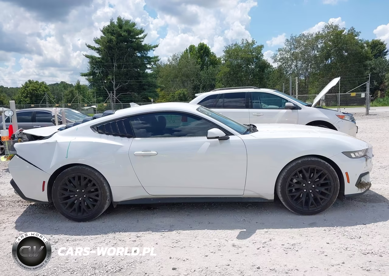 2024 Ford Mustang Ecoboost Premium Fastback VIN:1FA6P8TH1R5138173 - 13