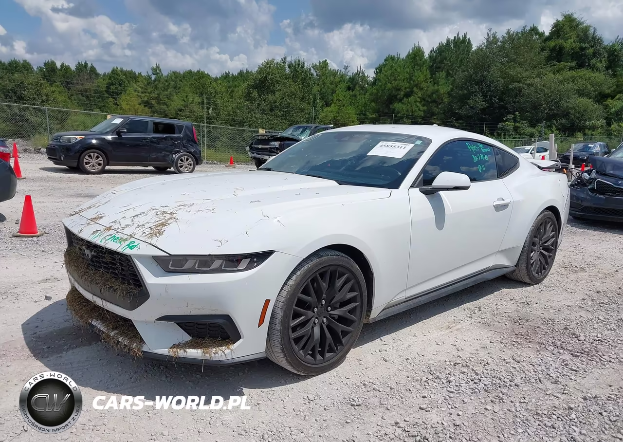 2024 Ford Mustang Ecoboost Premium Fastback VIN:1FA6P8TH1R5138173 - 2