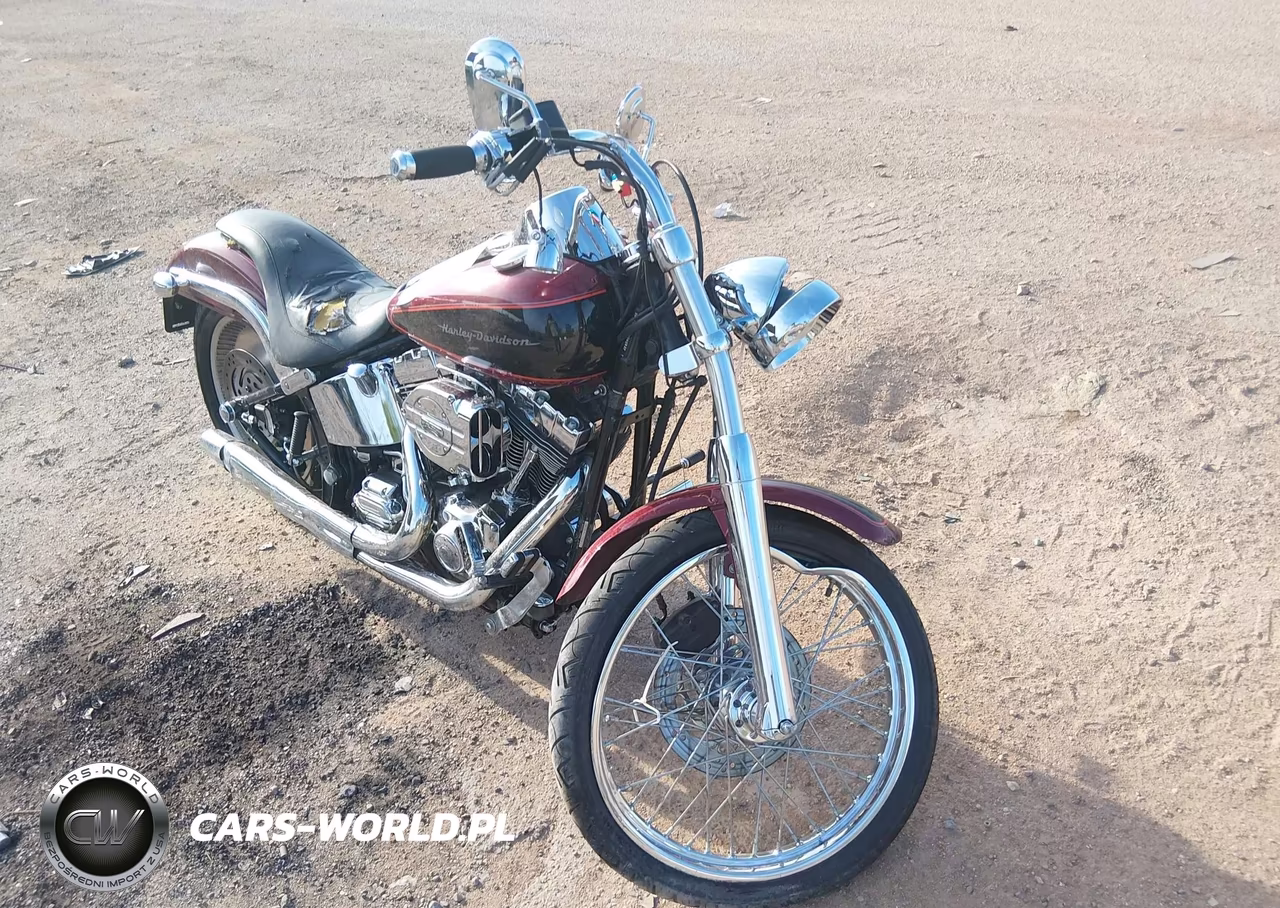 2000 Harley-Davidson Fxstd VIN:1HD1BSY60YY058317 - 2