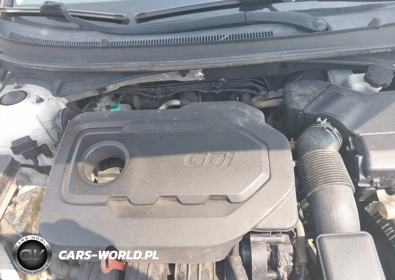 2016 Hyundai Sonata VIN:5NPE24AF9GH394668 - 10