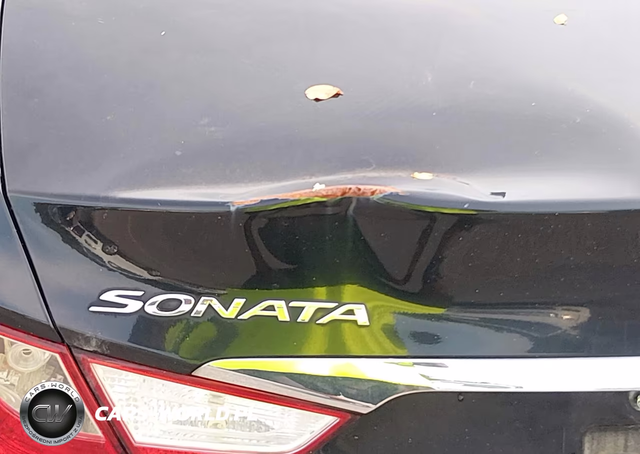2011 Hyundai Sonata Gls VIN:5NPEB4AC3BH228208 - 6