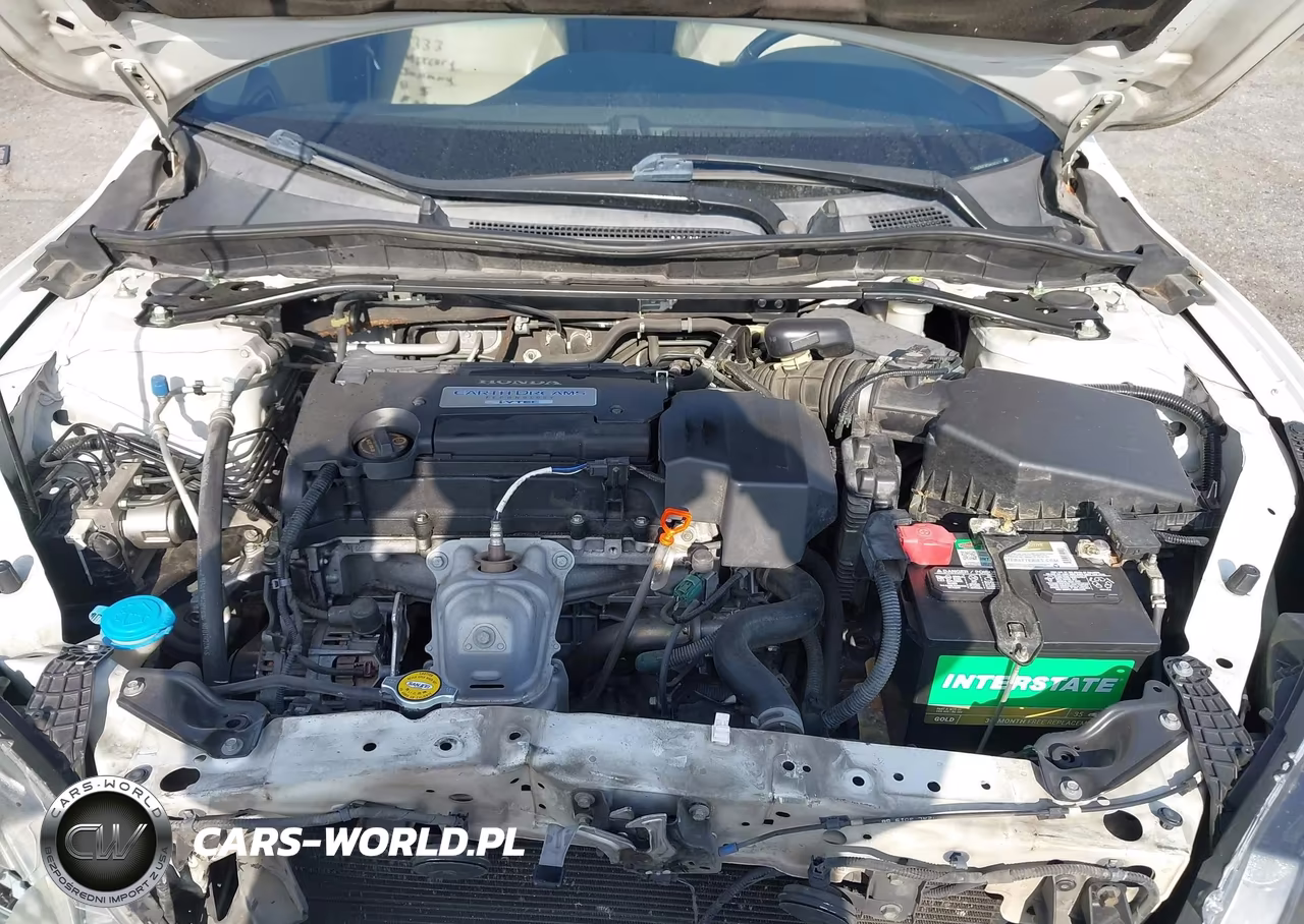 2013 Honda Accord Ex-L VIN:1HGCR2F82DA242317 - 10