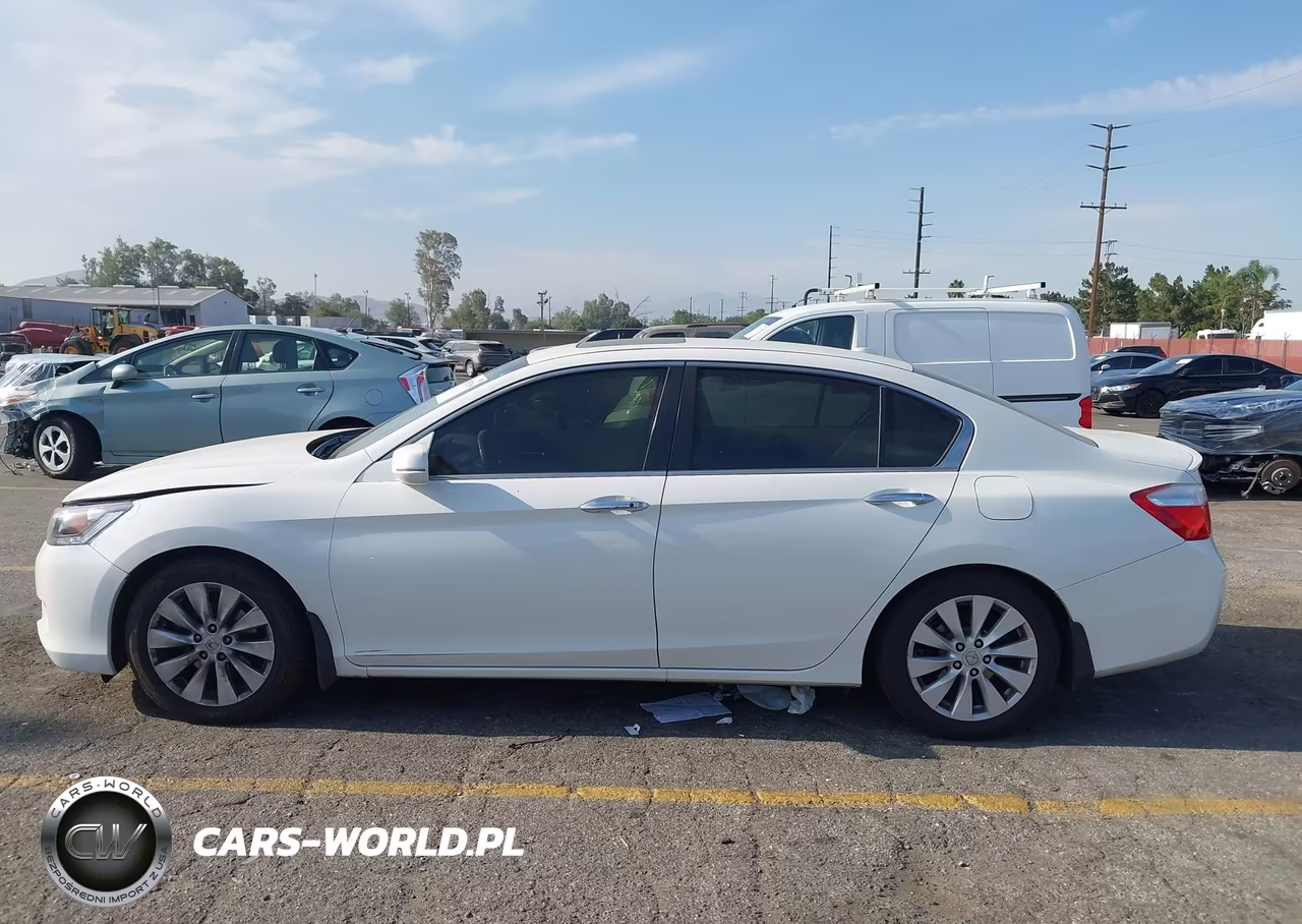 2013 Honda Accord Ex-L VIN:1HGCR2F82DA242317 - 14
