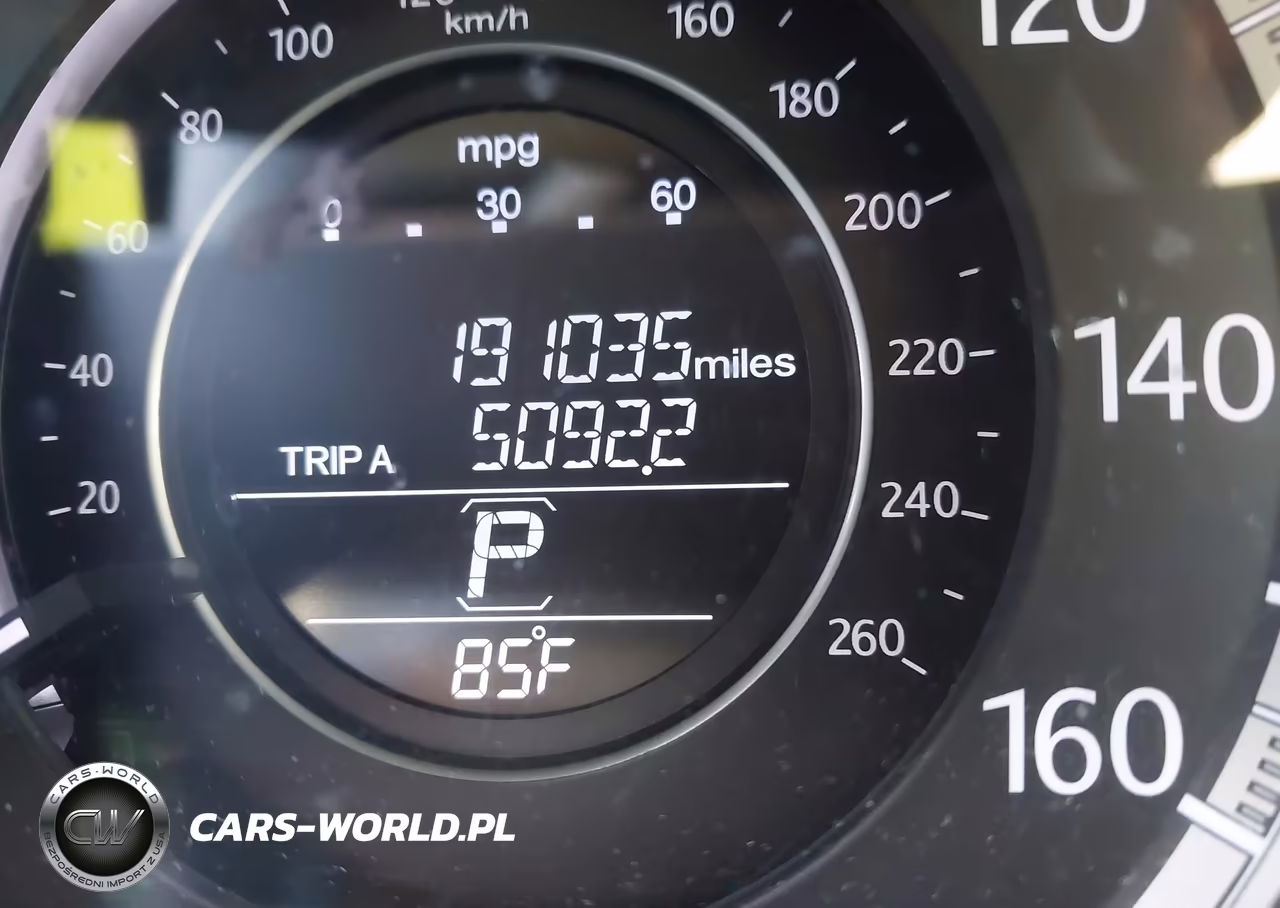 2013 Honda Accord Ex-L VIN:1HGCR2F82DA242317 - 15