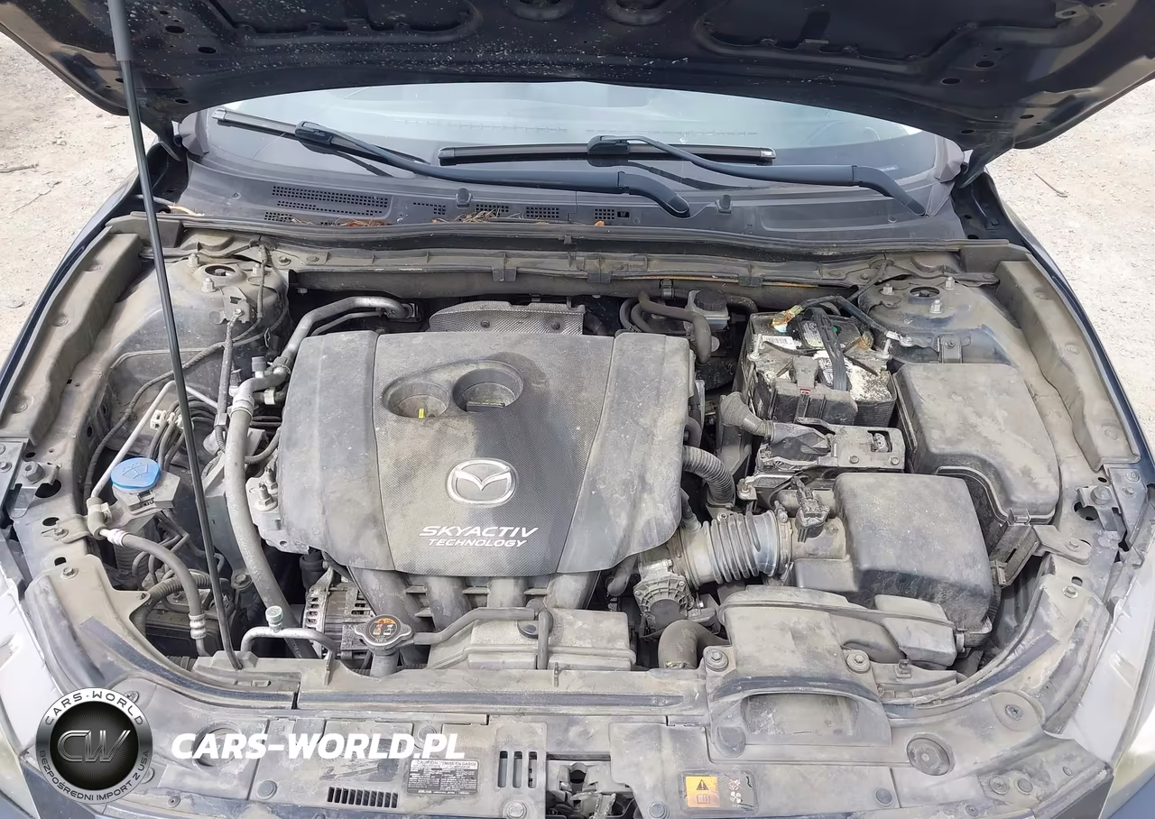2014 Mazda Mazda3 I Touring VIN:JM1BM1L79E1181435 - 10