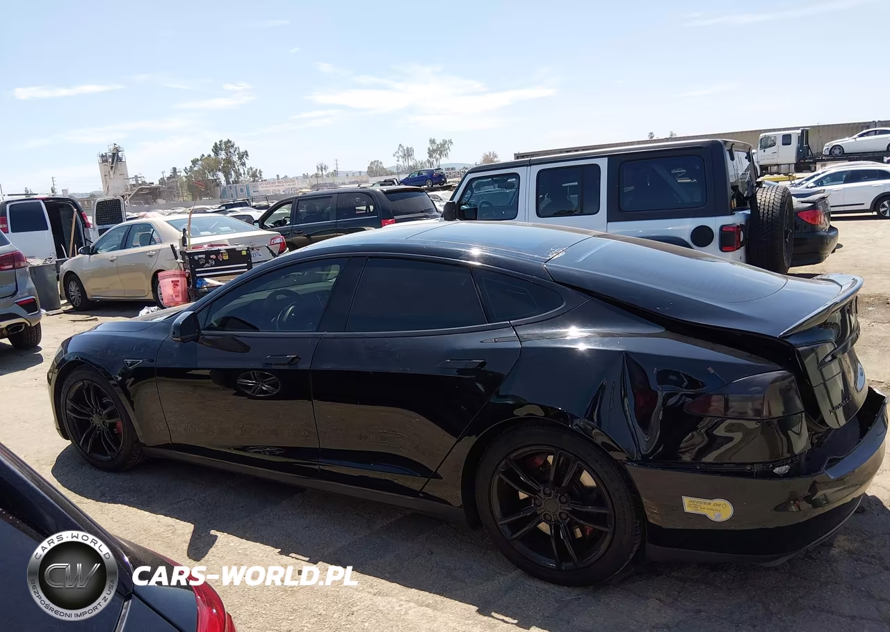 2016 Tesla Model S 60D-70D-75D-85D-90D VIN:5YJSA1E29GF129467 - 12