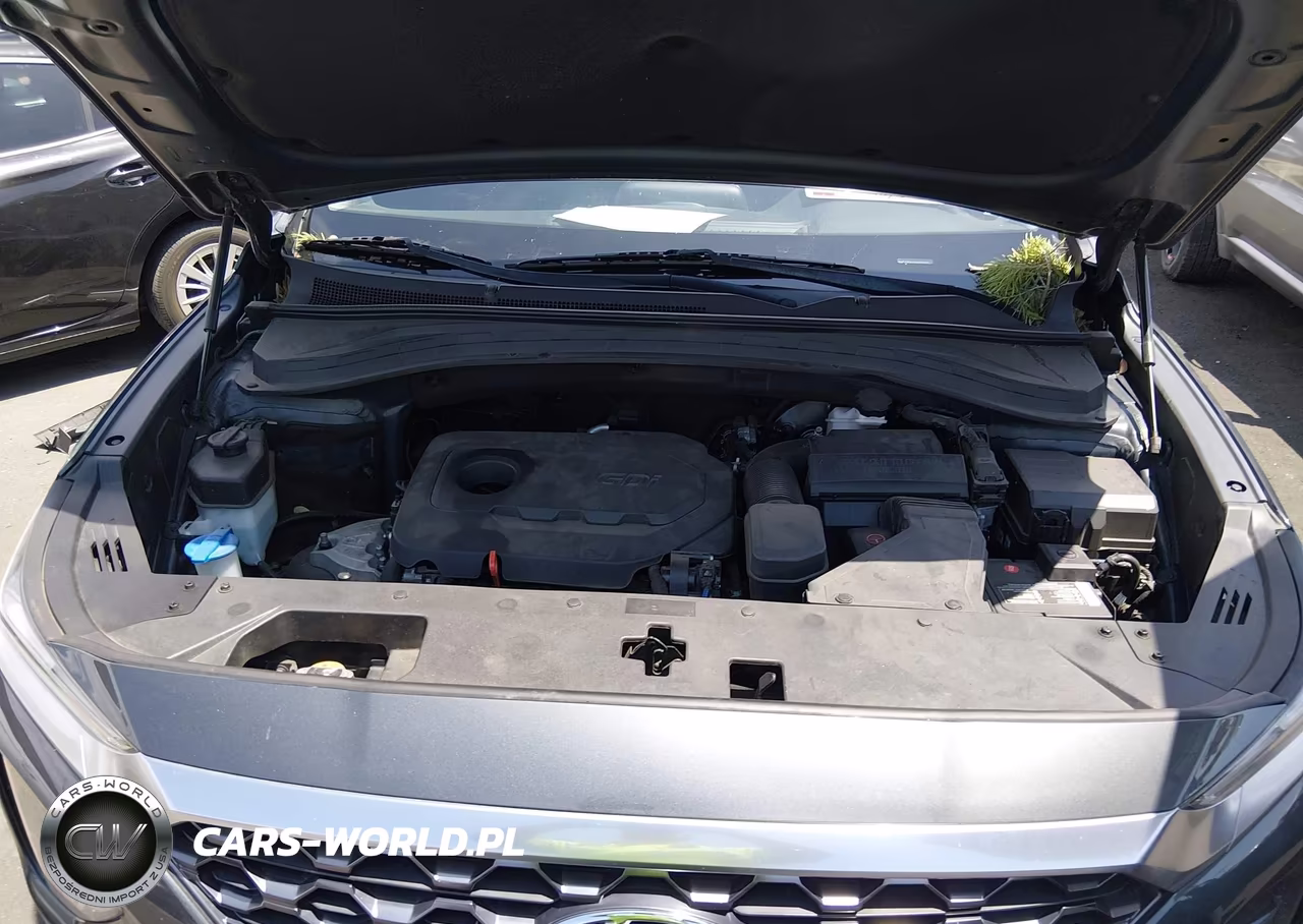 2020 Hyundai Santa Fe Se VIN:5NMS23AD3LH144233 - 10