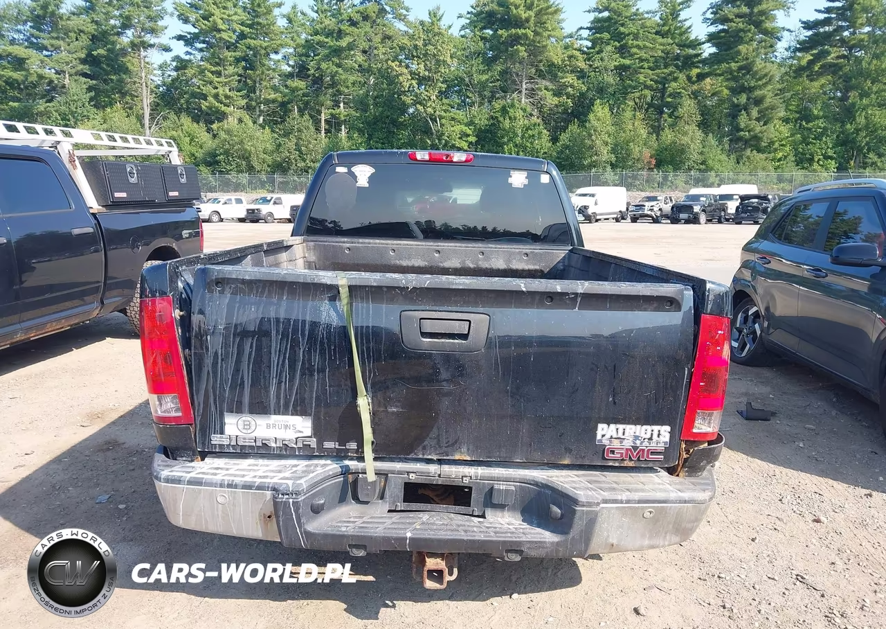 2009 GMC Sierra 1500 Sle VIN:1GTEK29J79Z149988 - 17
