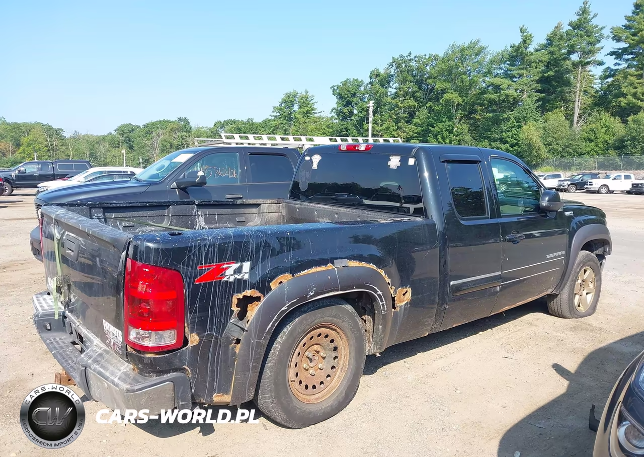2009 GMC Sierra 1500 Sle VIN:1GTEK29J79Z149988 - 18