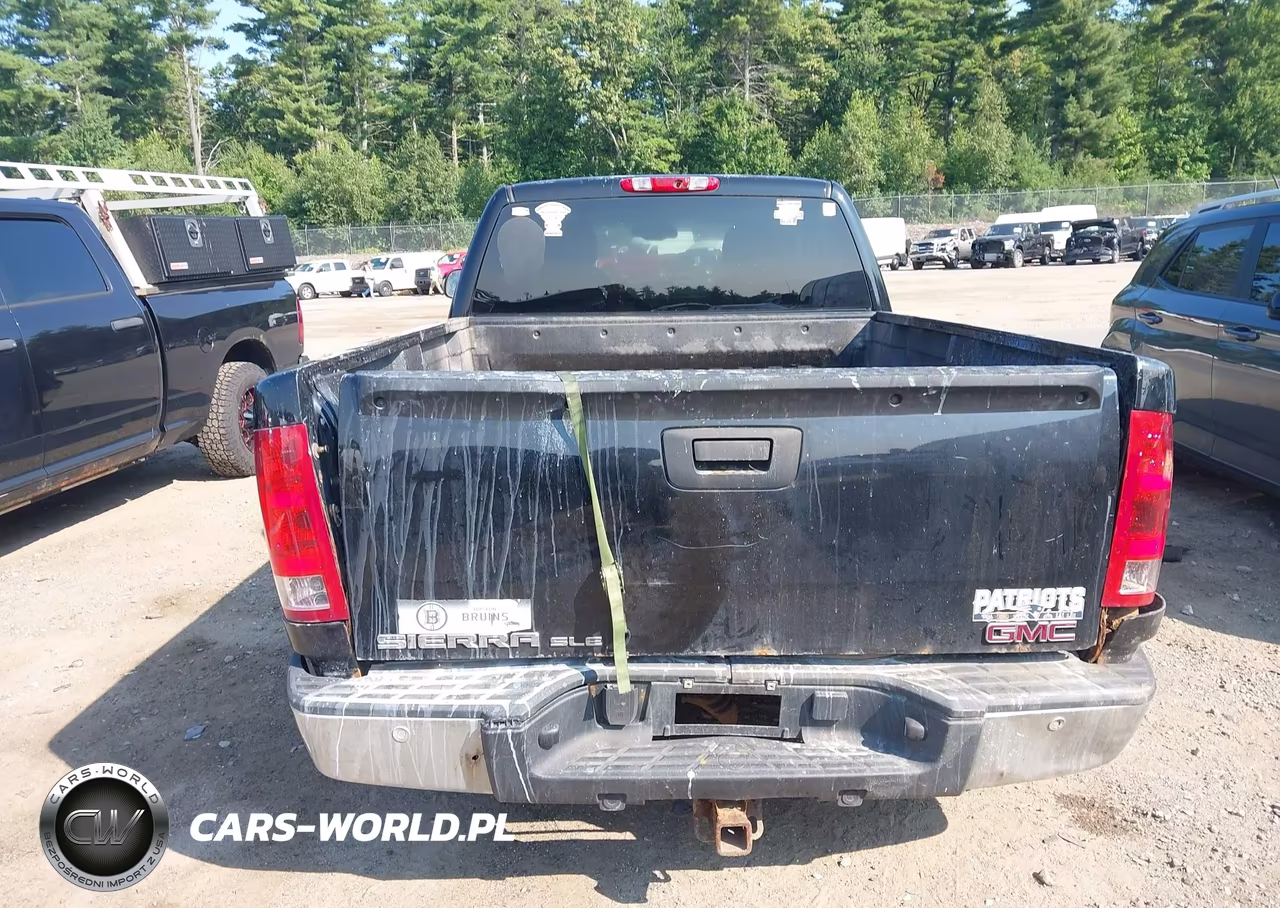 2009 GMC Sierra 1500 Sle VIN:1GTEK29J79Z149988 - 19