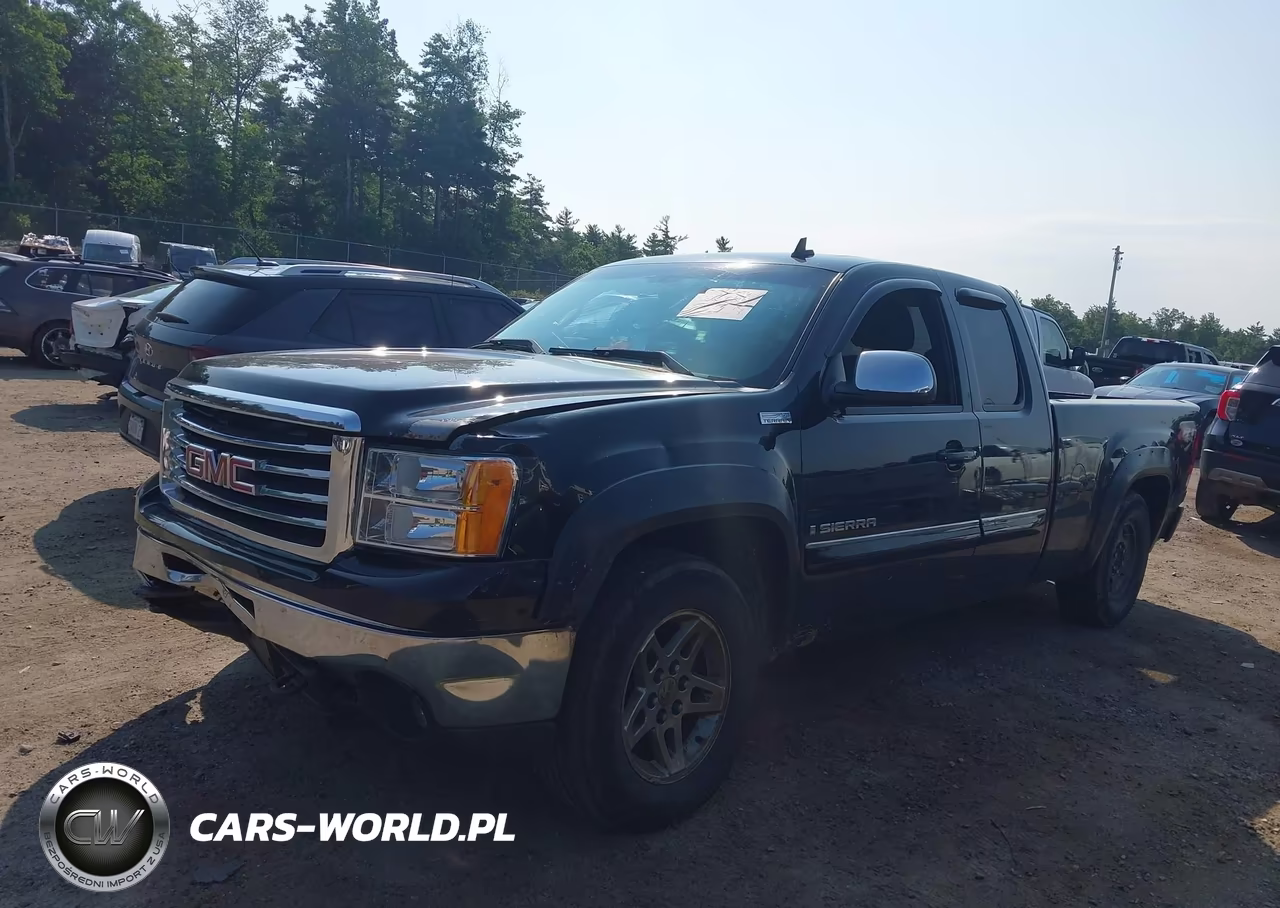 2009 GMC Sierra 1500 Sle VIN:1GTEK29J79Z149988 - 2