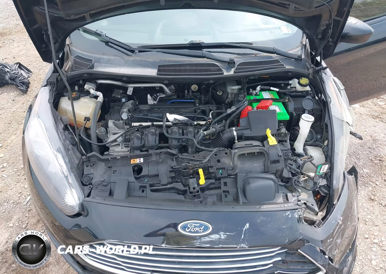2018 Ford Fiesta Se VIN:3FADP4EJ0JM117541 - 10