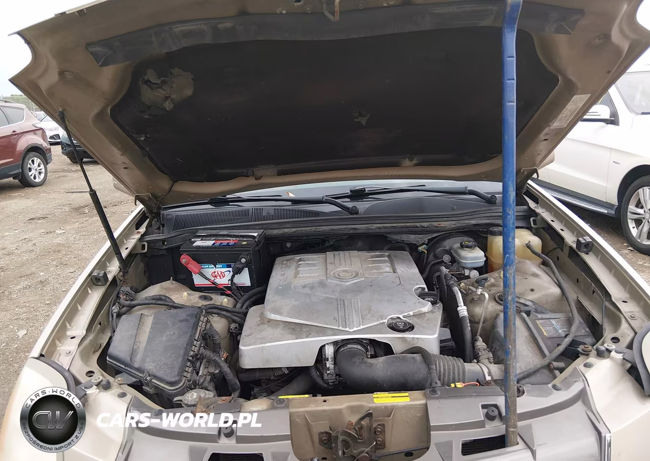 2005 Cadillac Srx V6 VIN:1GYEE637750228288 - 10