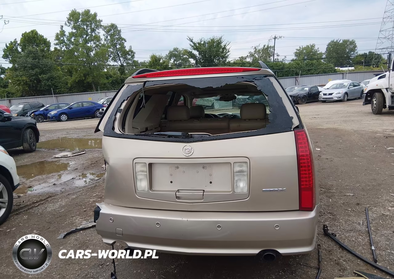2005 Cadillac Srx V6 VIN:1GYEE637750228288 - 17