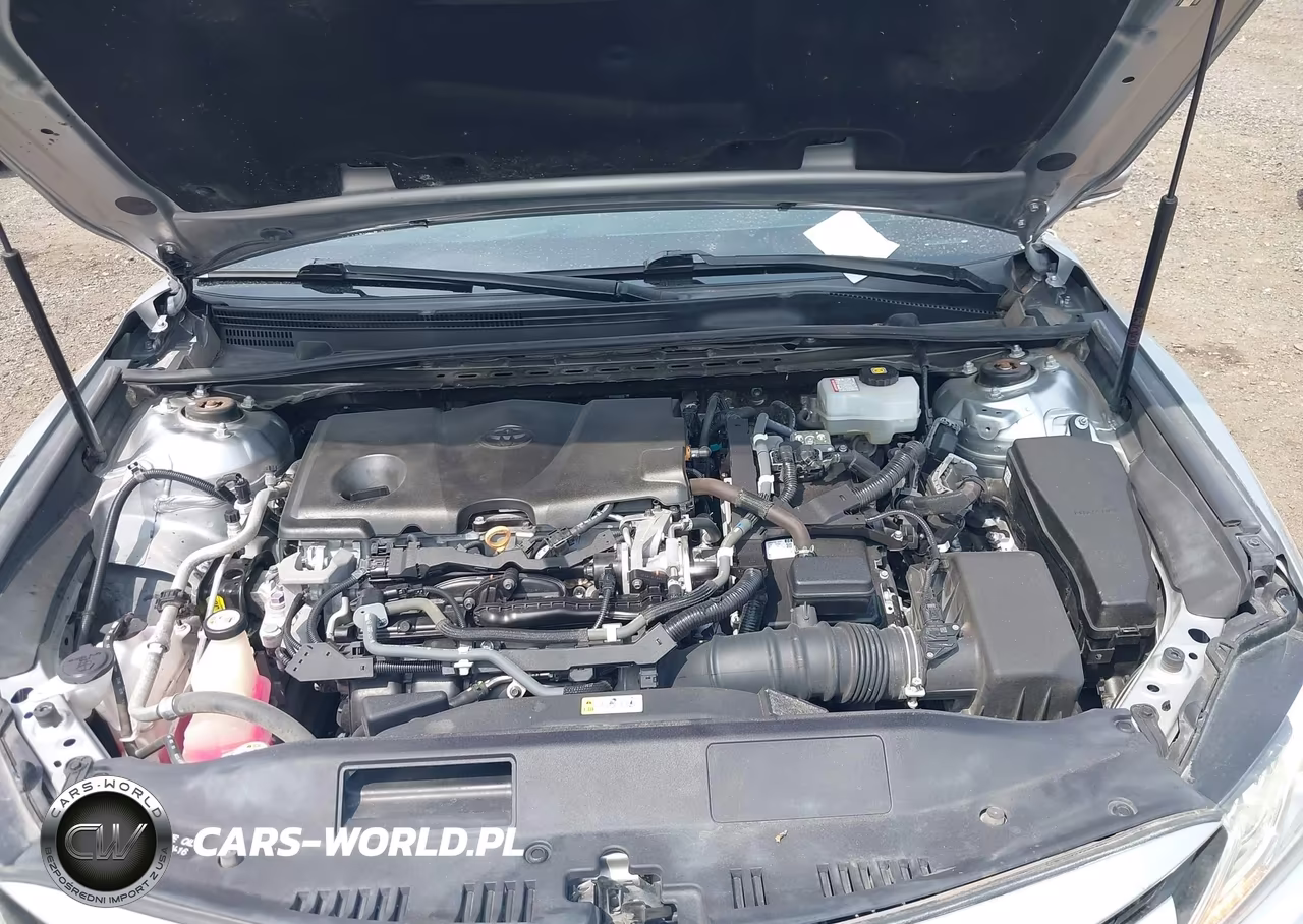 2020 Toyota Camry Xle Hybrid VIN:4T1F31AK3LU523271 - 10