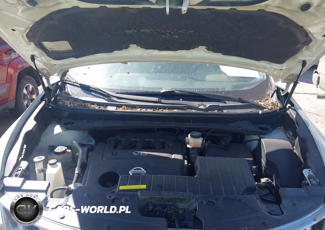 2010 Nissan Murano Sl VIN:JN8AZ1MW3AW113894 - 10